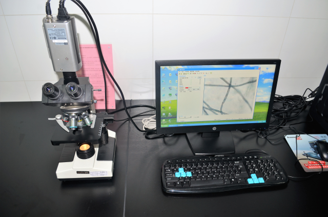 Fiber Quantitative Chemical Analysis